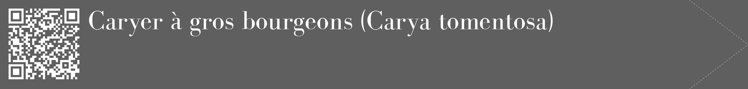 Étiquette de : Carya tomentosa - format c - style blanche10_simple_simplebod avec qrcode et comestibilité