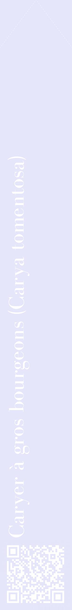 Étiquette de : Carya tomentosa - format c - style blanche55_simplebod avec qrcode et comestibilité