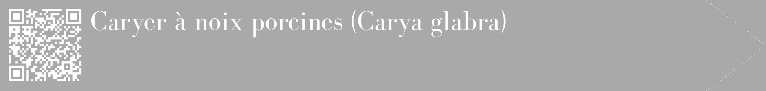 Étiquette de : Carya glabra - format c - style blanche13_simple_simplebod avec qrcode et comestibilité