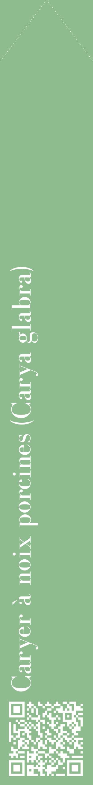 Étiquette de : Carya glabra - format c - style blanche13_simplebod avec qrcode et comestibilité