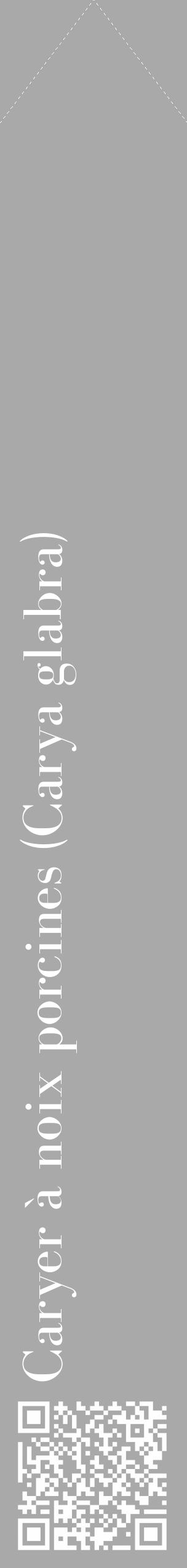 Étiquette de : Carya glabra - format c - style blanche13_simple_simplebod avec qrcode et comestibilité - position verticale