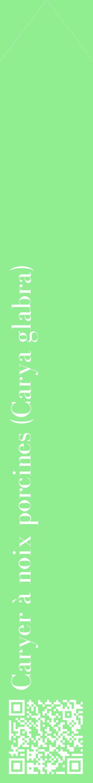 Étiquette de : Carya glabra - format c - style blanche15_simplebod avec qrcode et comestibilité