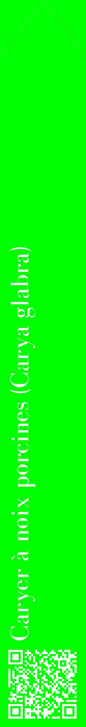 Étiquette de : Carya glabra - format c - style blanche16_simplebod avec qrcode et comestibilité