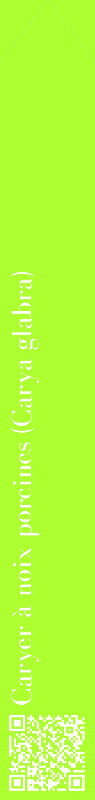 Étiquette de : Carya glabra - format c - style blanche17_simplebod avec qrcode et comestibilité
