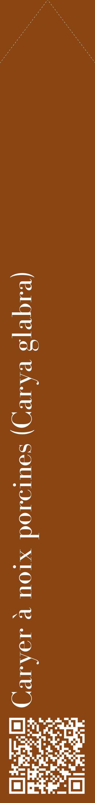 Étiquette de : Carya glabra - format c - style blanche30_simplebod avec qrcode et comestibilité