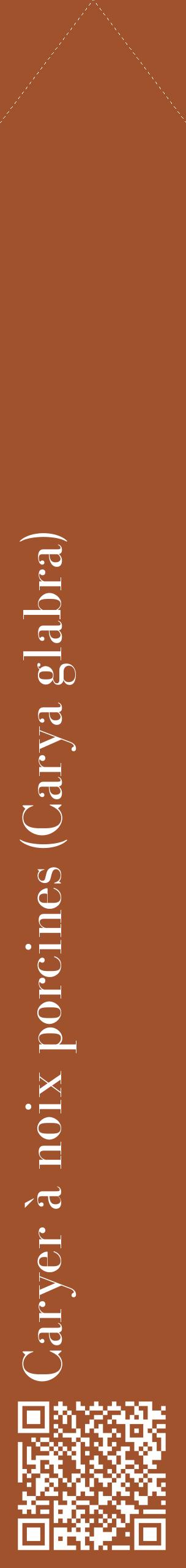 Étiquette de : Carya glabra - format c - style blanche32_simplebod avec qrcode et comestibilité