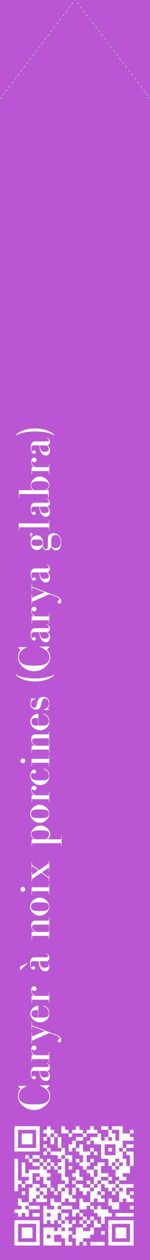 Étiquette de : Carya glabra - format c - style blanche50_simplebod avec qrcode et comestibilité