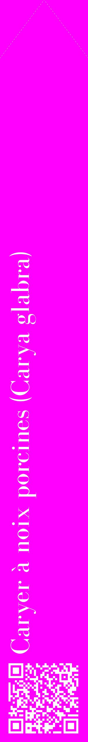 Étiquette de : Carya glabra - format c - style blanche51_simplebod avec qrcode et comestibilité