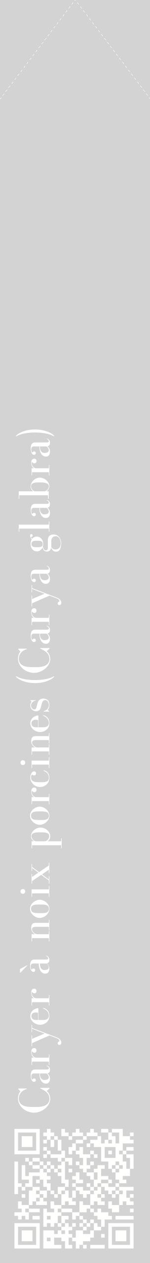 Étiquette de : Carya glabra - format c - style blanche56_simplebod avec qrcode et comestibilité