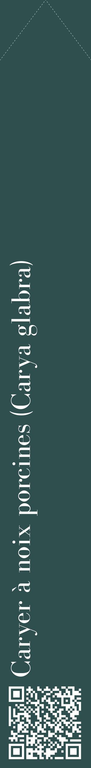 Étiquette de : Carya glabra - format c - style blanche58_simplebod avec qrcode et comestibilité