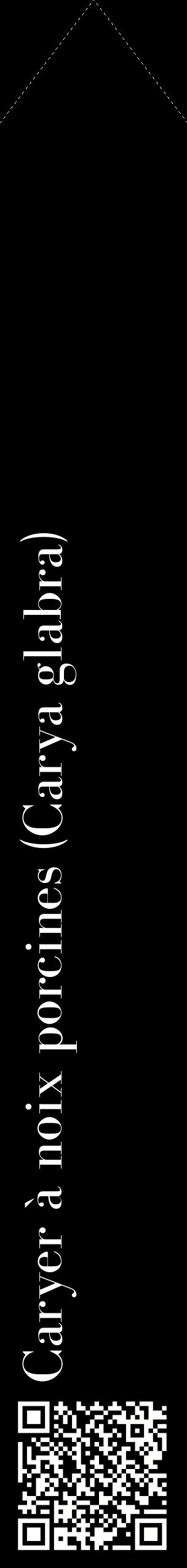 Étiquette de : Carya glabra - format c - style blanche59_simplebod avec qrcode et comestibilité