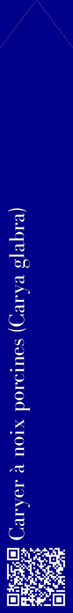 Étiquette de : Carya glabra - format c - style blanche7_simplebod avec qrcode et comestibilité