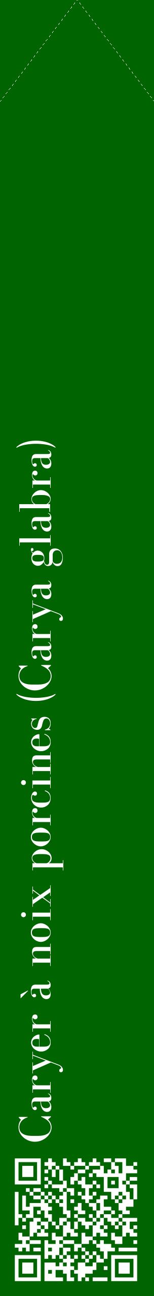Étiquette de : Carya glabra - format c - style blanche8_simplebod avec qrcode et comestibilité