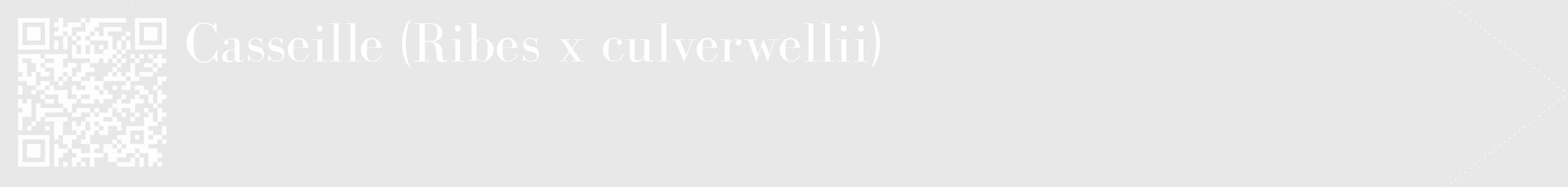 Étiquette de : Ribes x culverwellii - format c - style blanche55_simple_simplebod avec qrcode et comestibilité