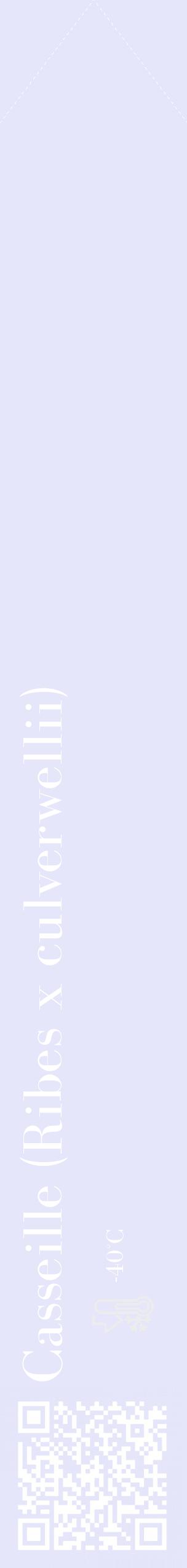 Étiquette de : Ribes x culverwellii - format c - style blanche55_simple_simplebod avec qrcode et comestibilité - position verticale