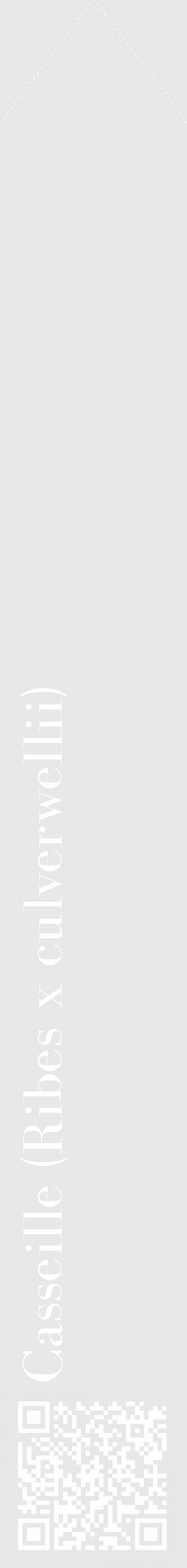 Étiquette de : Ribes x culverwellii - format c - style blanche55_simple_simplebod avec qrcode et comestibilité - position verticale