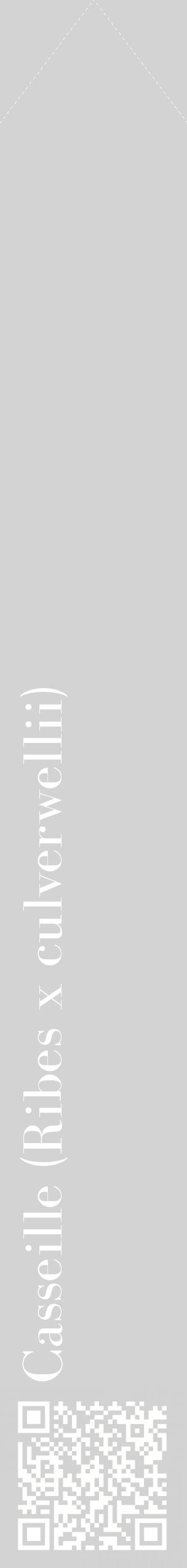 Étiquette de : Ribes x culverwellii - format c - style blanche56_simplebod avec qrcode et comestibilité