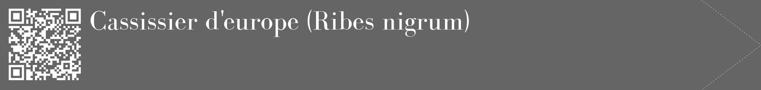 Étiquette de : Ribes nigrum - format c - style blanche32_simple_simplebod avec qrcode et comestibilité