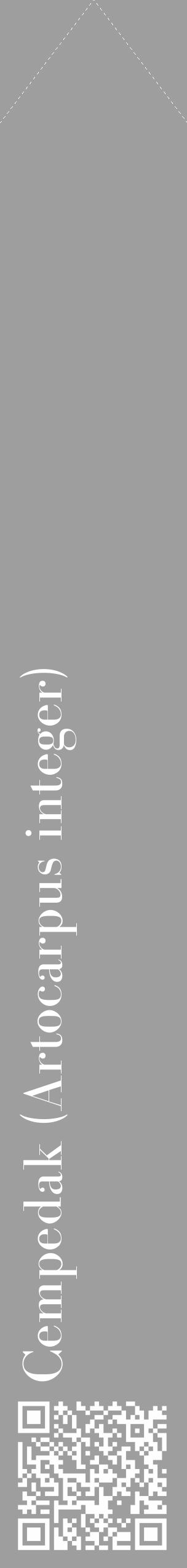 Étiquette de : Artocarpus integer - format c - style blanche42_simple_simplebod avec qrcode et comestibilité - position verticale