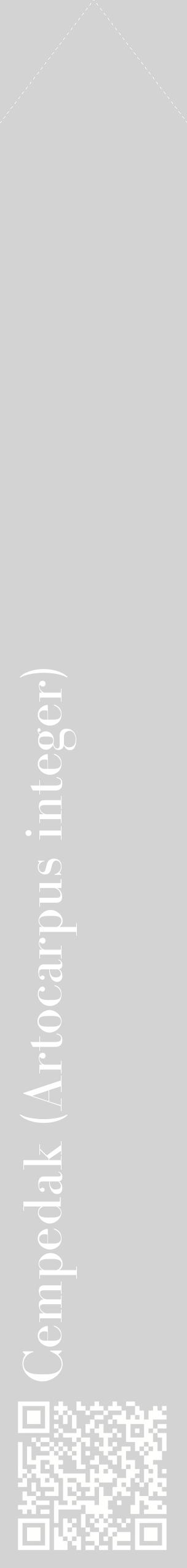 Étiquette de : Artocarpus integer - format c - style blanche56_simplebod avec qrcode et comestibilité