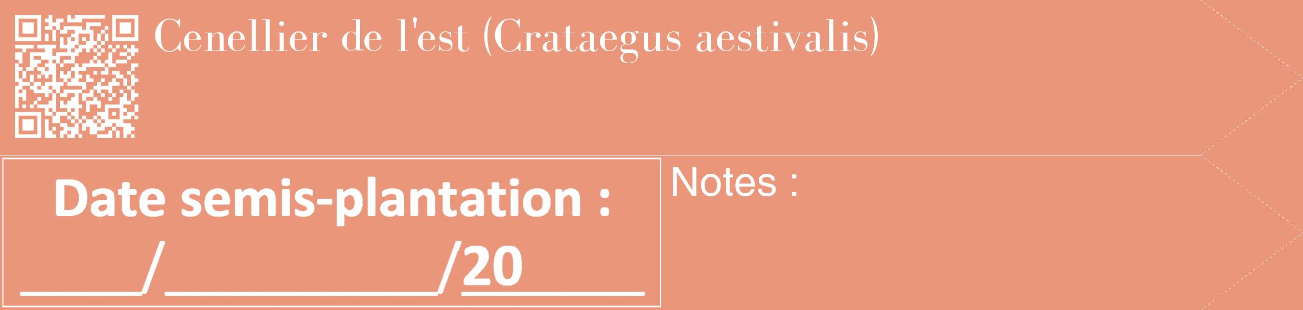 Étiquette de : Crataegus aestivalis - format c - style blanche37_simple_simplebod avec qrcode et comestibilité