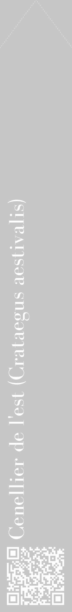 Étiquette de : Crataegus aestivalis - format c - style blanche15_simple_simplebod avec qrcode et comestibilité - position verticale