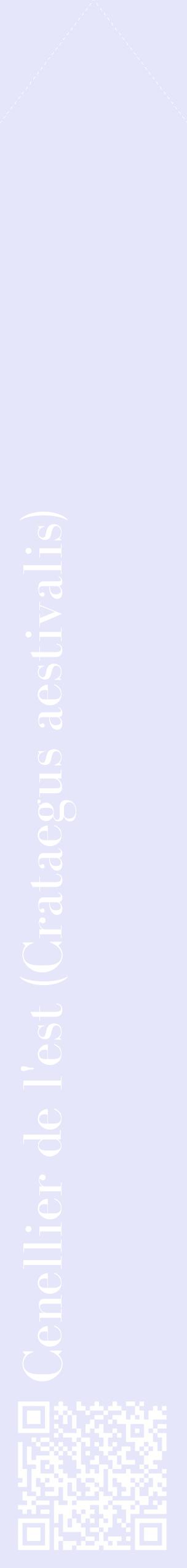 Étiquette de : Crataegus aestivalis - format c - style blanche55_simplebod avec qrcode et comestibilité