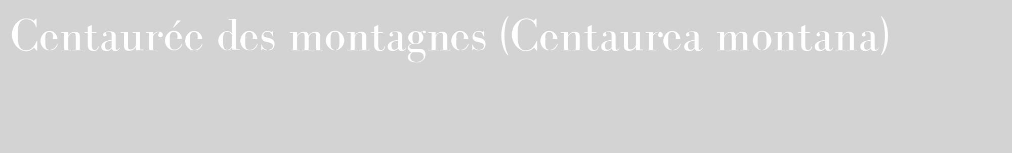 Étiquette de : Centaurea montana - format c - style blanche56_basique_basiquebod avec comestibilité