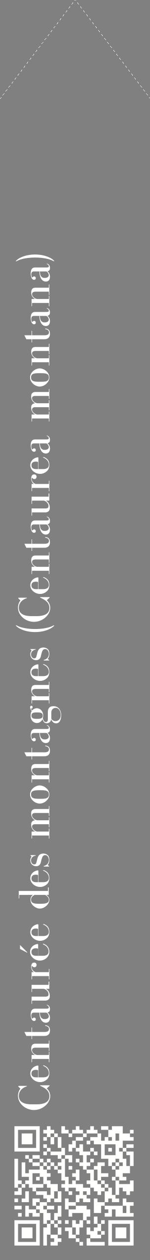 Étiquette de : Centaurea montana - format c - style blanche57_simplebod avec qrcode et comestibilité