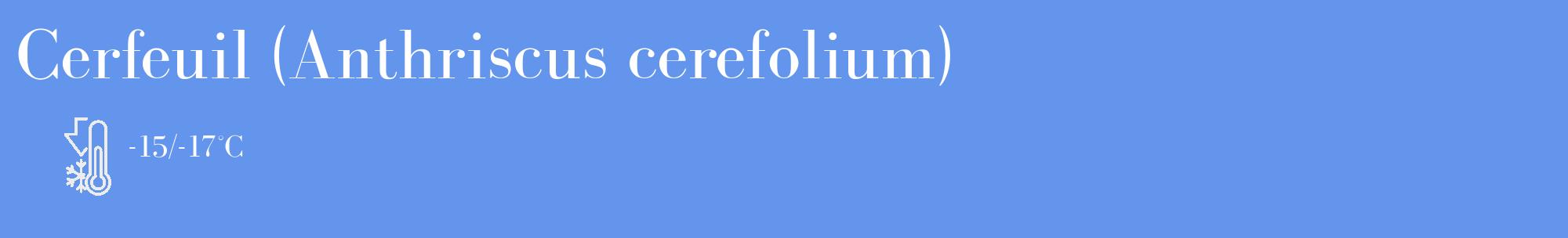 Étiquette de : Anthriscus cerefolium - format c - style blanche4_basique_basiquebod avec comestibilité