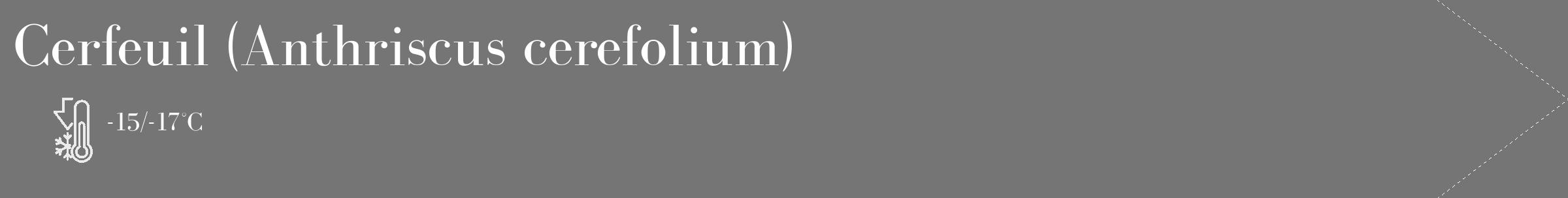 Étiquette de : Anthriscus cerefolium - format c - style blanche5_simple_simplebod avec comestibilité