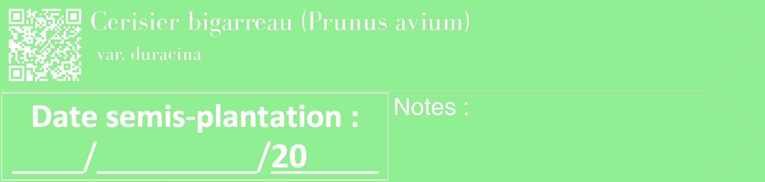 Étiquette de : Prunus avium var. duracina - format c - style blanche15_simple_simplebod avec qrcode et comestibilité