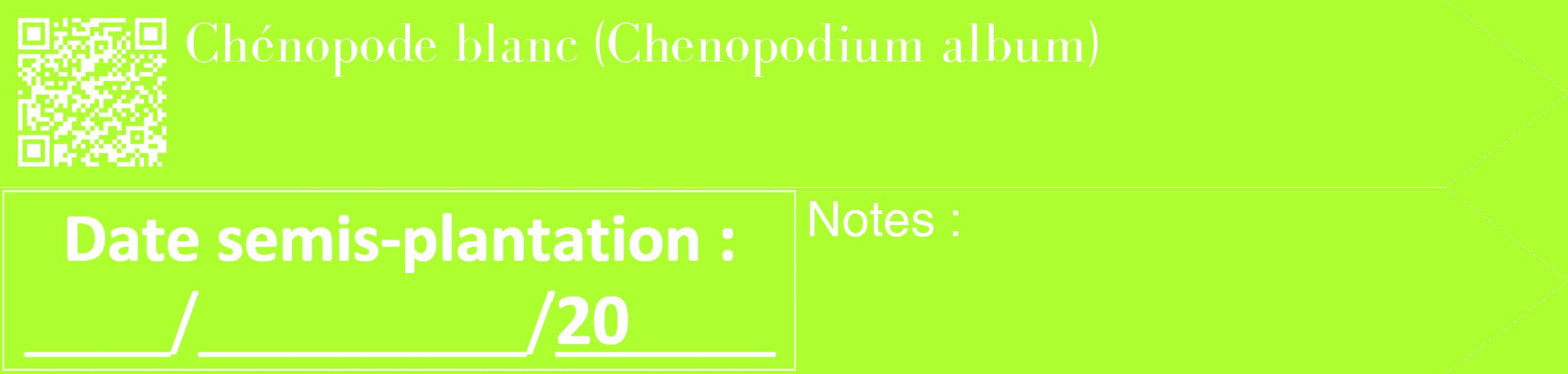 Étiquette de : Chenopodium album - format c - style blanche17_simple_simplebod avec qrcode et comestibilité