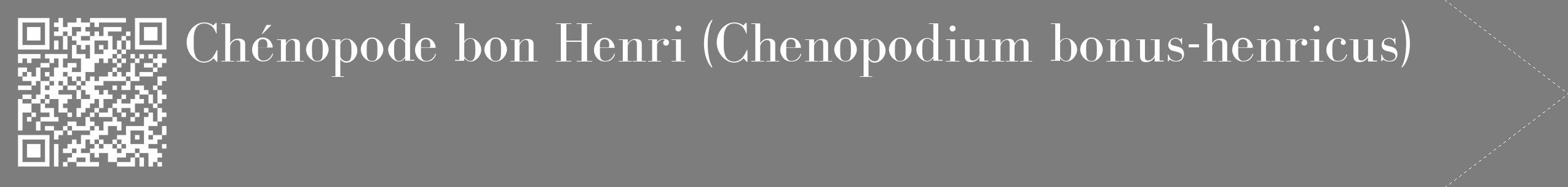 Étiquette de : Chenopodium bonus-henricus - format c - style blanche35_simple_simplebod avec qrcode et comestibilité
