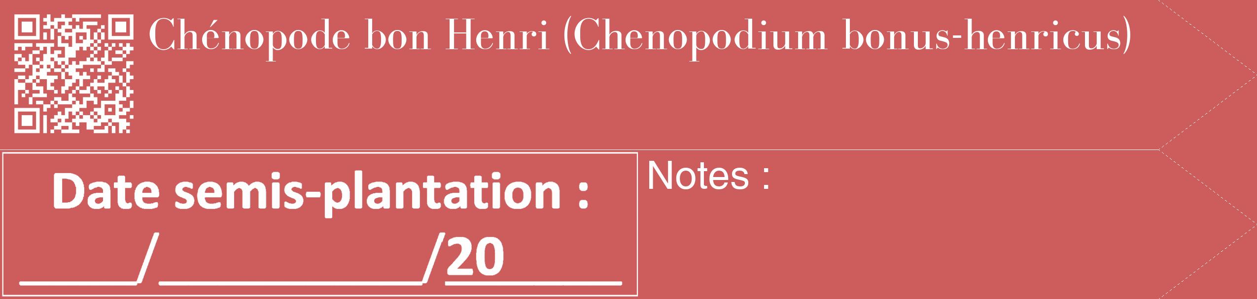 Étiquette de : Chenopodium bonus-henricus - format c - style blanche35_simple_simplebod avec qrcode et comestibilité