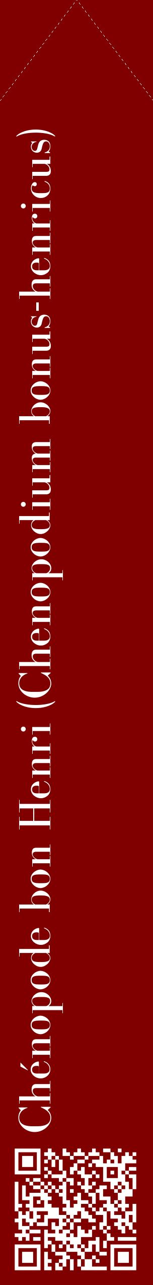 Étiquette de : Chenopodium bonus-henricus - format c - style blanche29_simplebod avec qrcode et comestibilité