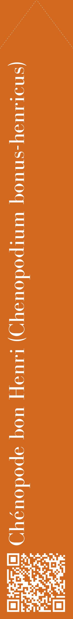 Étiquette de : Chenopodium bonus-henricus - format c - style blanche31_simplebod avec qrcode et comestibilité