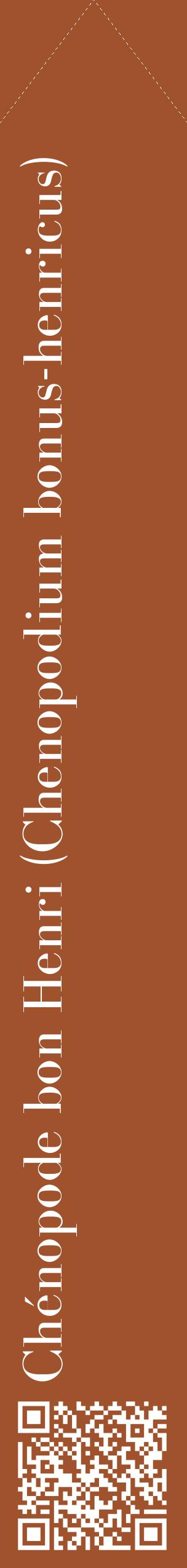 Étiquette de : Chenopodium bonus-henricus - format c - style blanche32_simplebod avec qrcode et comestibilité
