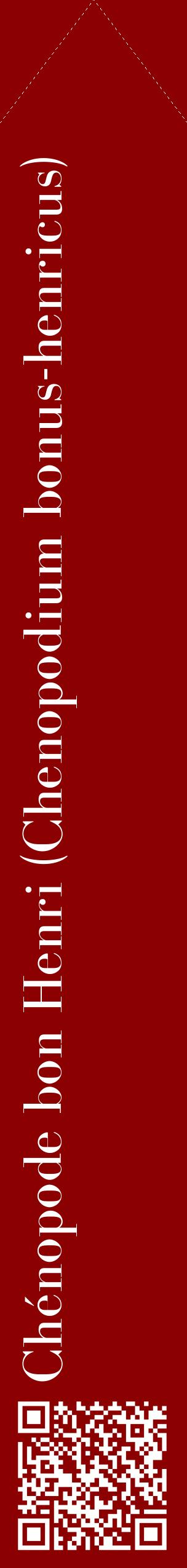 Étiquette de : Chenopodium bonus-henricus - format c - style blanche34_simplebod avec qrcode et comestibilité