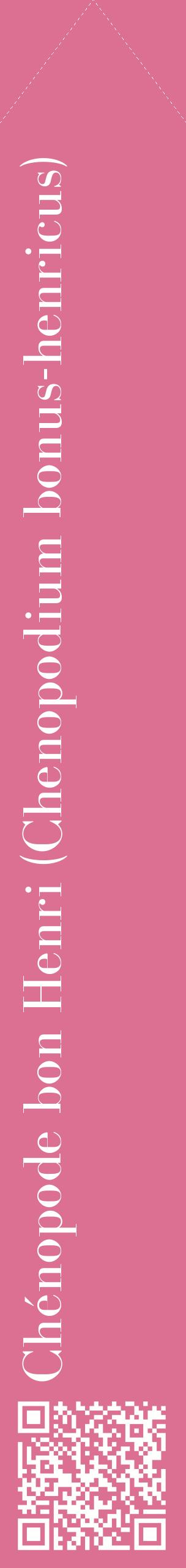 Étiquette de : Chenopodium bonus-henricus - format c - style blanche44_simplebod avec qrcode et comestibilité