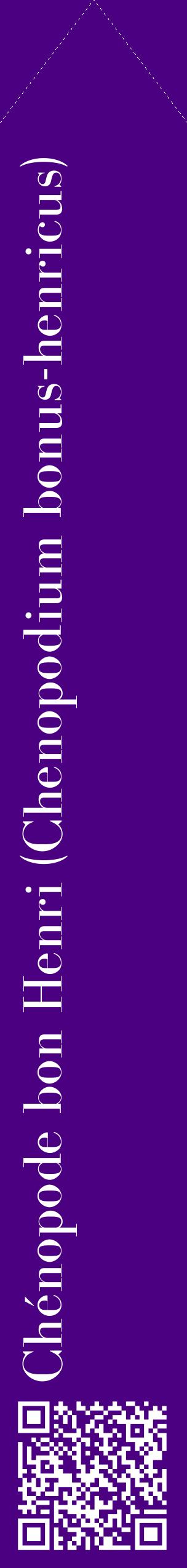 Étiquette de : Chenopodium bonus-henricus - format c - style blanche47_simplebod avec qrcode et comestibilité