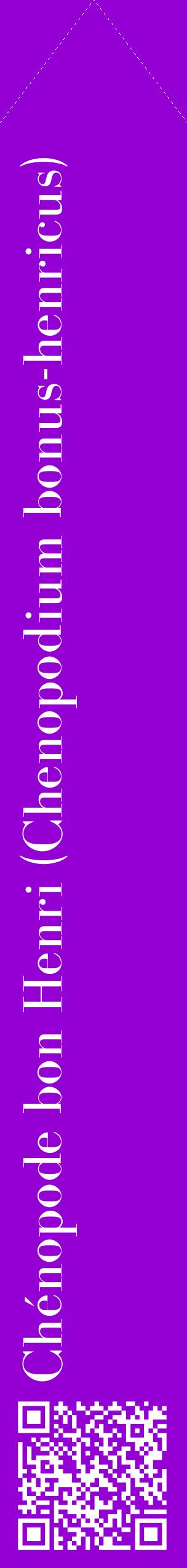 Étiquette de : Chenopodium bonus-henricus - format c - style blanche48_simplebod avec qrcode et comestibilité