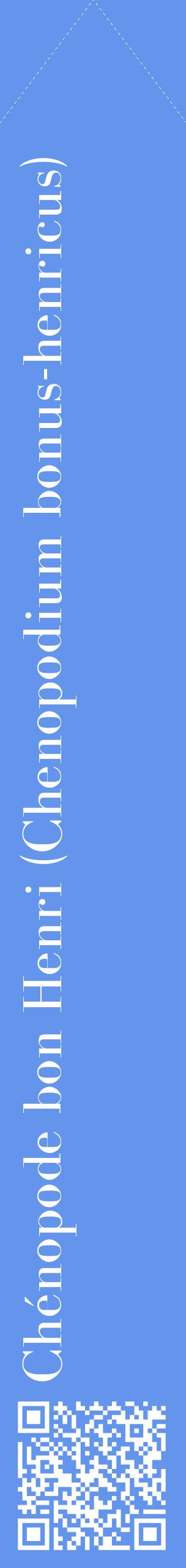 Étiquette de : Chenopodium bonus-henricus - format c - style blanche4_simplebod avec qrcode et comestibilité