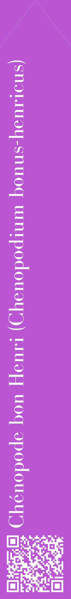 Étiquette de : Chenopodium bonus-henricus - format c - style blanche50_simplebod avec qrcode et comestibilité