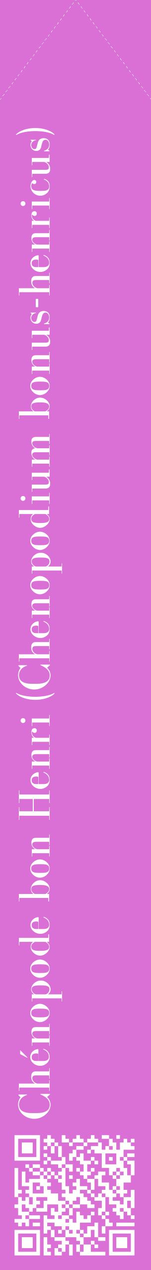 Étiquette de : Chenopodium bonus-henricus - format c - style blanche52_simplebod avec qrcode et comestibilité