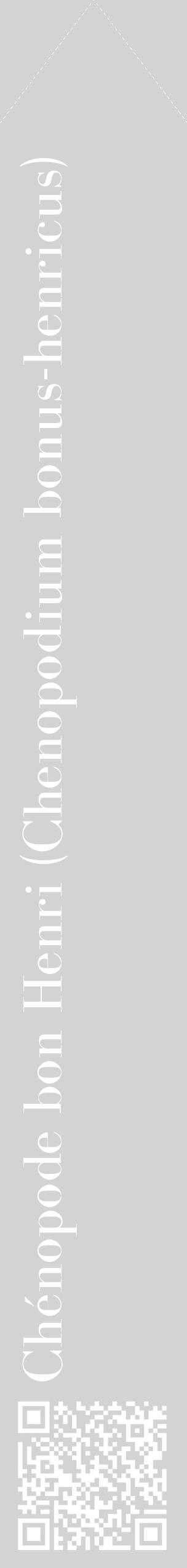 Étiquette de : Chenopodium bonus-henricus - format c - style blanche56_simplebod avec qrcode et comestibilité