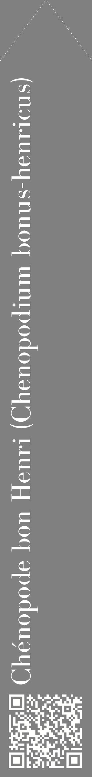 Étiquette de : Chenopodium bonus-henricus - format c - style blanche57_simplebod avec qrcode et comestibilité