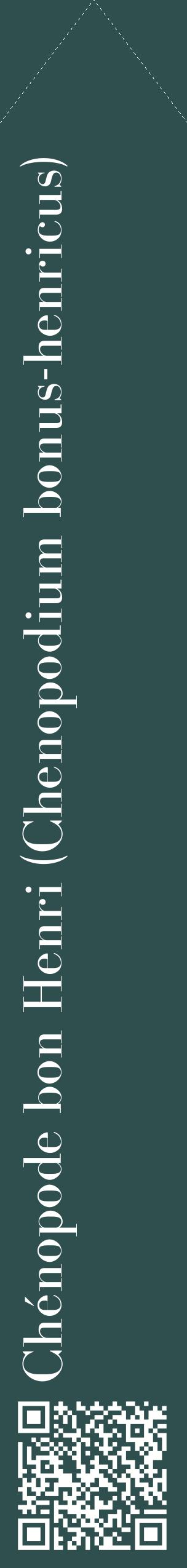 Étiquette de : Chenopodium bonus-henricus - format c - style blanche58_simplebod avec qrcode et comestibilité