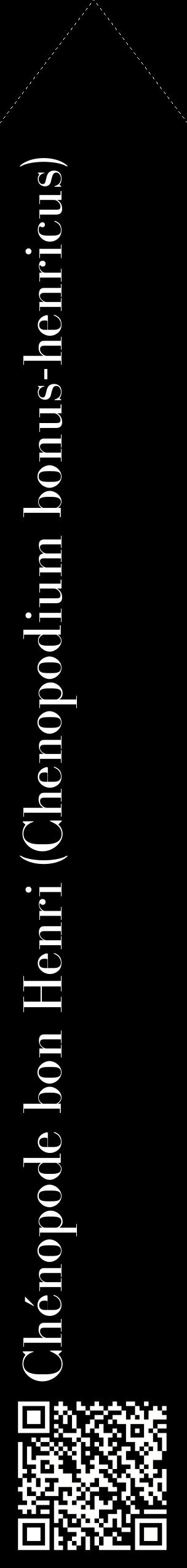Étiquette de : Chenopodium bonus-henricus - format c - style blanche59_simplebod avec qrcode et comestibilité