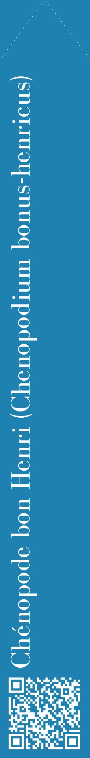 Étiquette de : Chenopodium bonus-henricus - format c - style blanche6_simplebod avec qrcode et comestibilité
